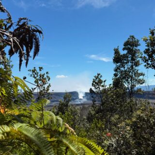 Inspiration in creation

#halekua